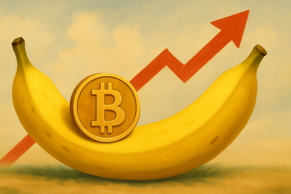 Bitcoin boven 100k: ‘the next phase of the Banana Zone’