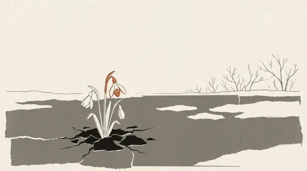 De bodem komt in beeld